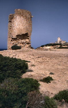 Capo Mannu 2